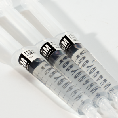Psilocybe Cubensis (Ben Hua Thanon) Spore Syringe - Image 4
